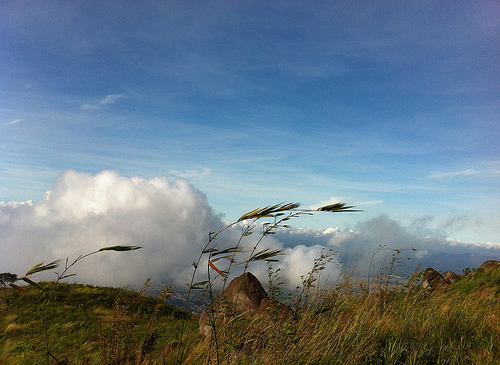 Những điểm trekking đầu năm hấp dẫn giới trẻ 